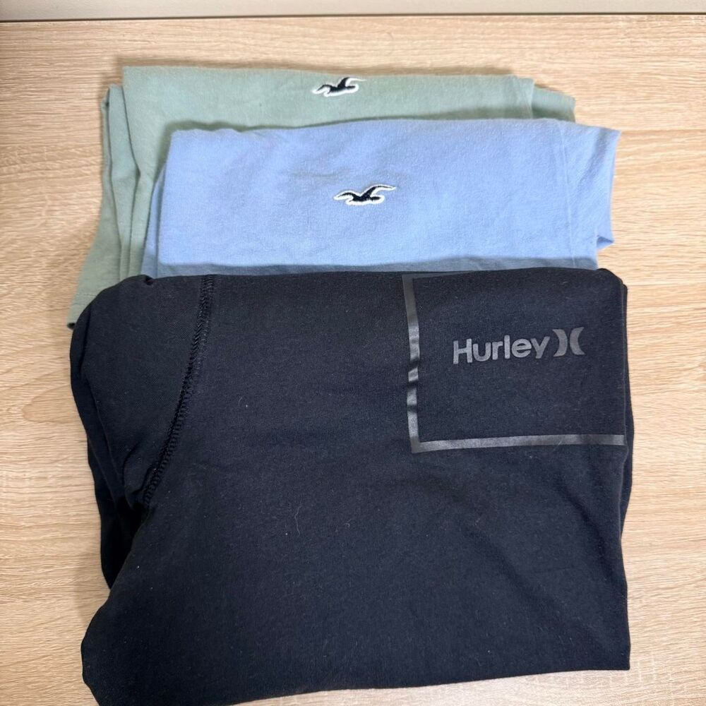 Hollister-co Men's multi T-shirt